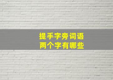 提手字旁词语 两个字有哪些